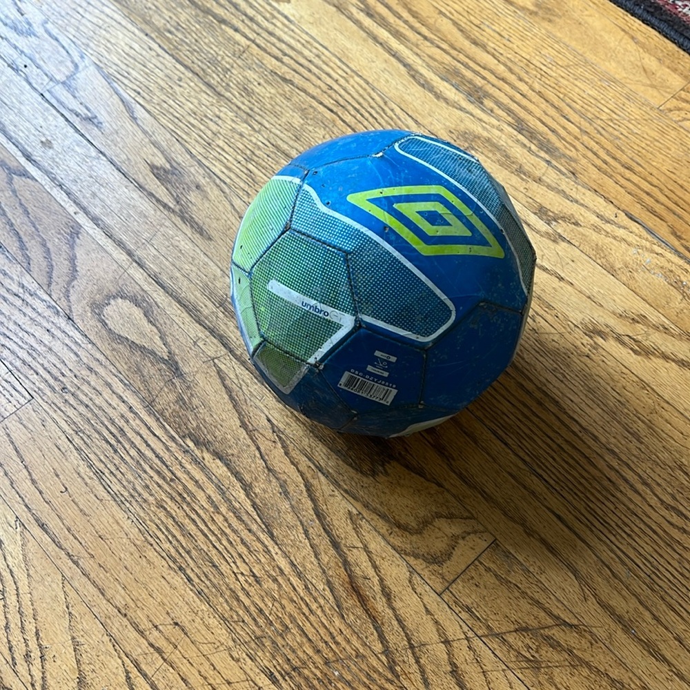 Umbro soccer ball